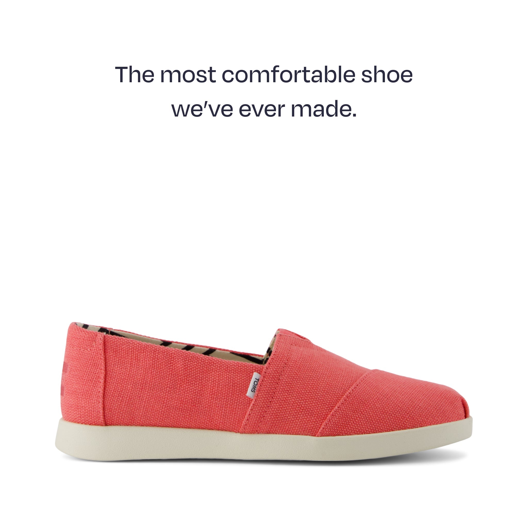 alpargata plus - the most comfortable shoe we've ever made