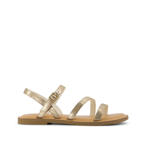 TOMS.com (EU)