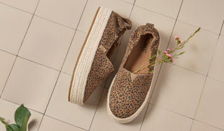 New Collection