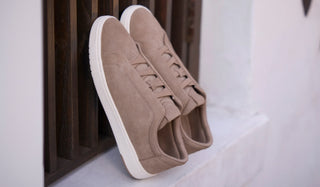 New Collection